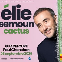 Elie Semoun dans Cactus