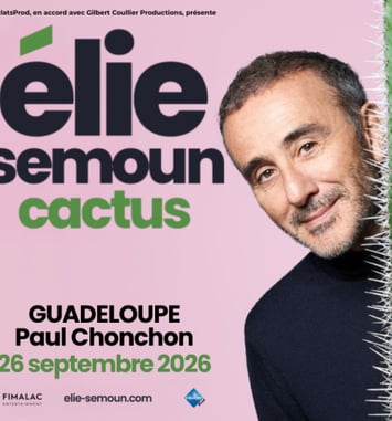 Elie Semoun dans Cactus