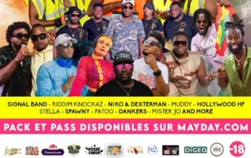 Concerts au Mayday Fest Nuit