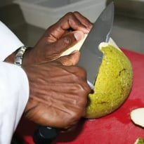 Le Fruit à Pain dans tous ses états