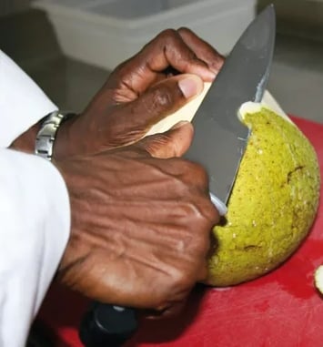 Le Fruit à Pain dans tous ses états