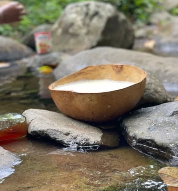 Découvrez le bain de feuillage