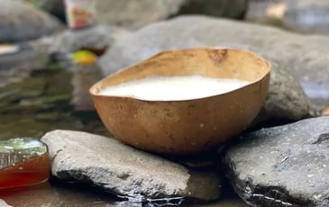 Découvrez le bain de feuillage