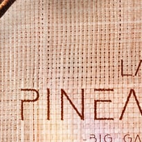 La Pineapple Big Garden Party