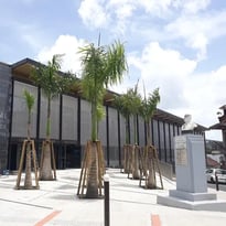 Visite du tribunal judiciaire de Pointe-à-Pitre