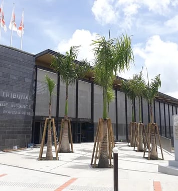 Visite du tribunal judiciaire de Pointe-à-Pitre